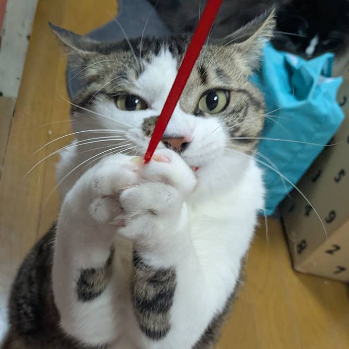 Bc8e8d9b ca54 4c3f b0da 9fa915e73ac1 1769675994021