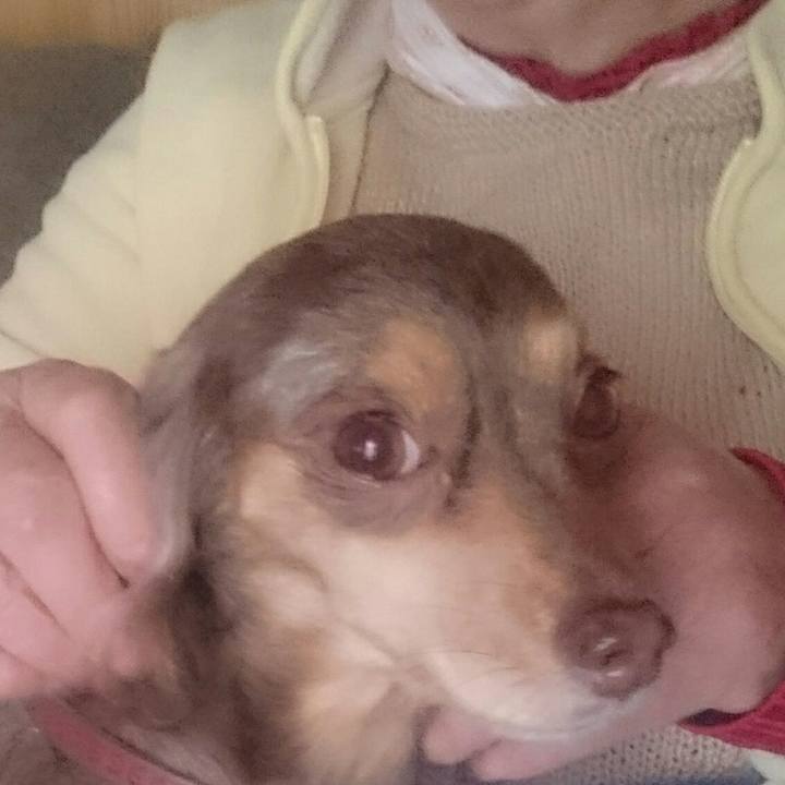 Bc8e8ddf ebae 4357 aa25 29ab07a46a9d 1518859504892