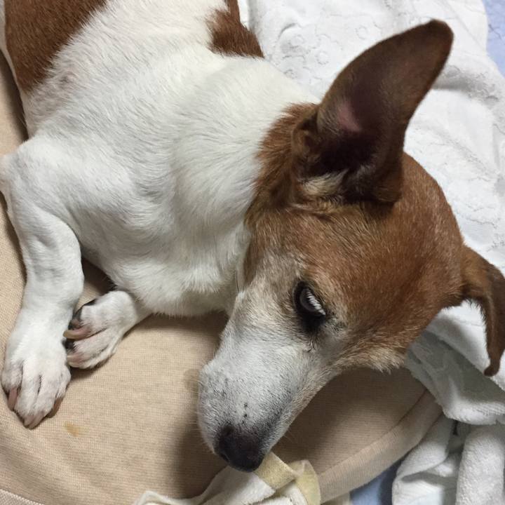 Bc8e9bb3 d557 446d b389 9c98ddab4d32 1521643874103