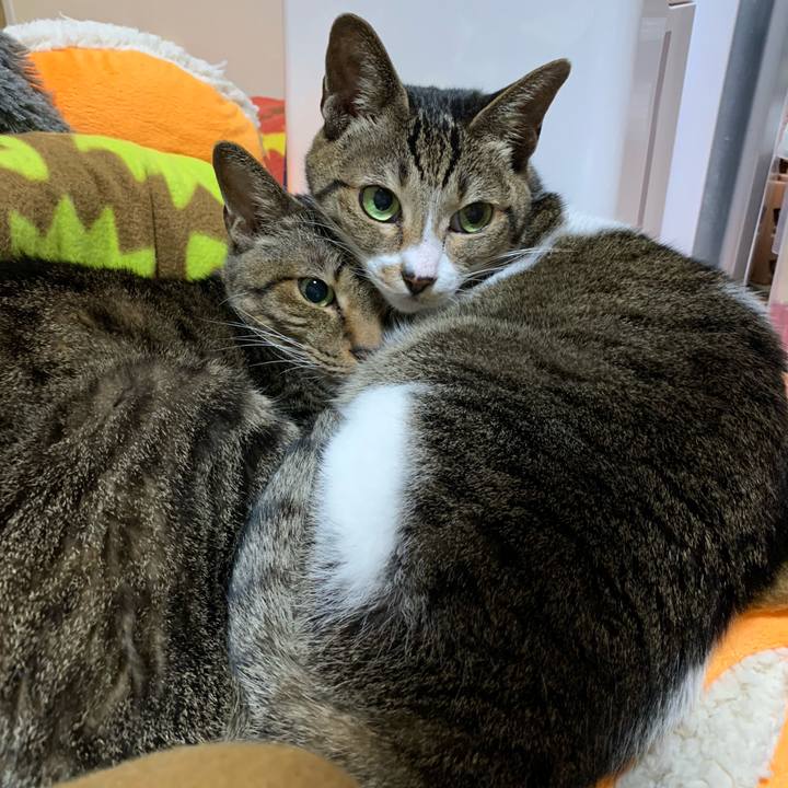 Bc8eba15 3ff0 4794 b928 fc24e41d8845 1575162685739