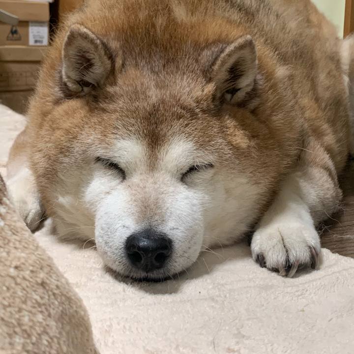 Bc8eeb25 b3ab 44f8 9559 dda3721f87a6 1610546554131