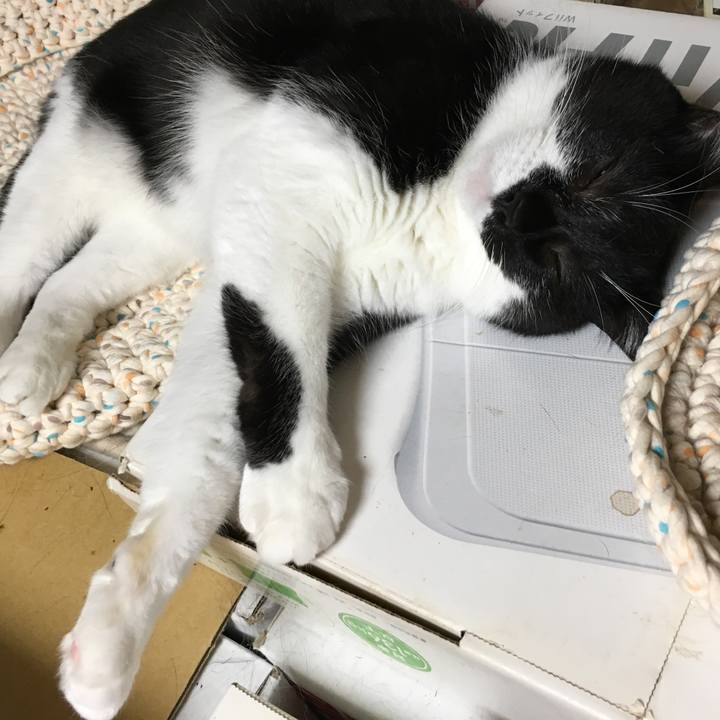 Bc8efe0d a95c 4c56 b0aa 5c190ed4393a 1507639471182