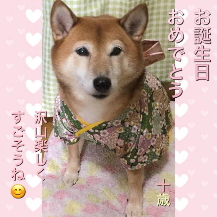 Bc8f0a3b 59f2 4fc5 aa47 bebf2e9e1a89 1603515172511