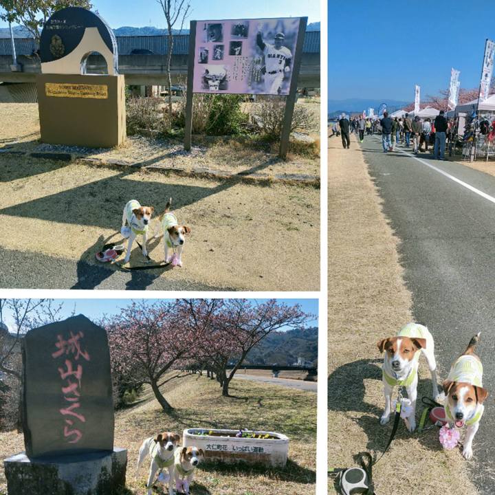 Bc8f16db 4ec3 4de6 b723 482bfce6ac00 1771663508533