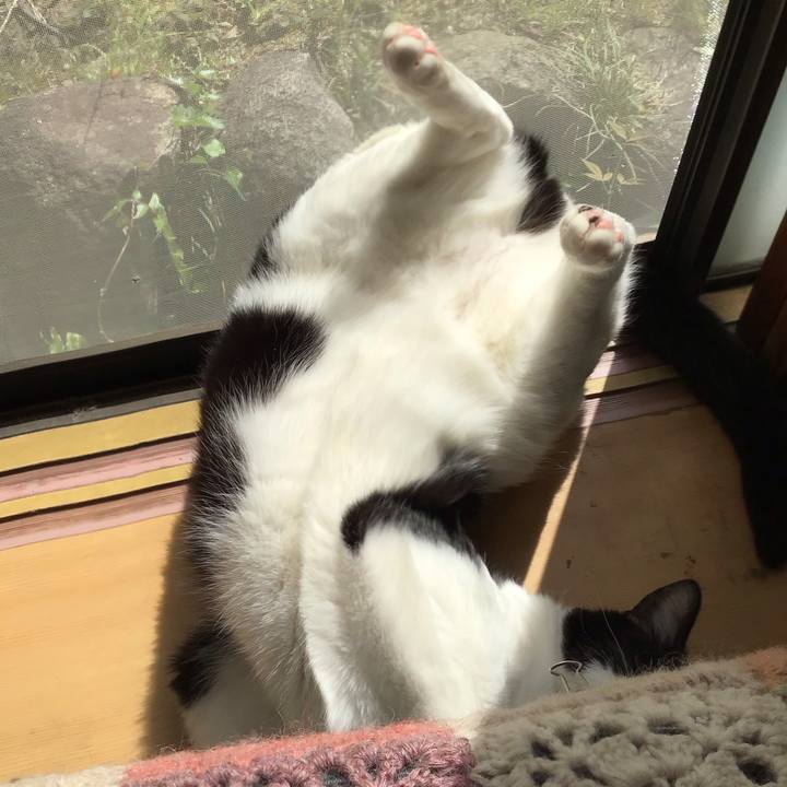 Bc8f2635 b1d9 4d73 8a71 372376845564 1681190833019