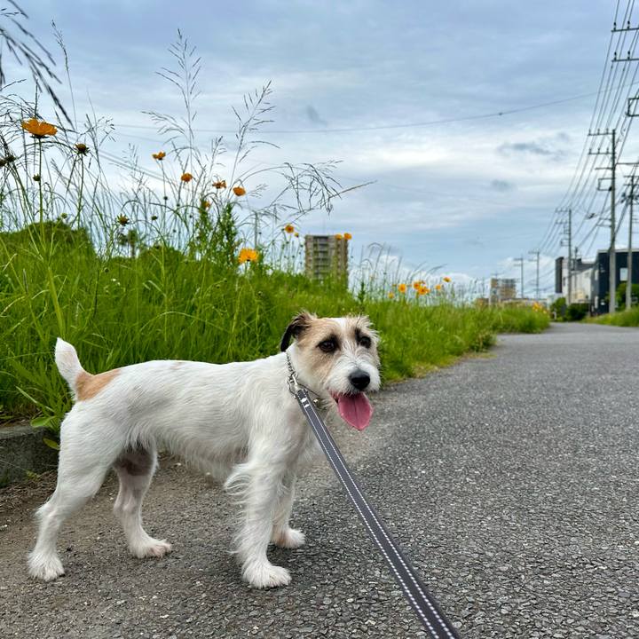 Bc8f2aed 114d 4fd8 af55 e2254cbee9fb 1715513445404