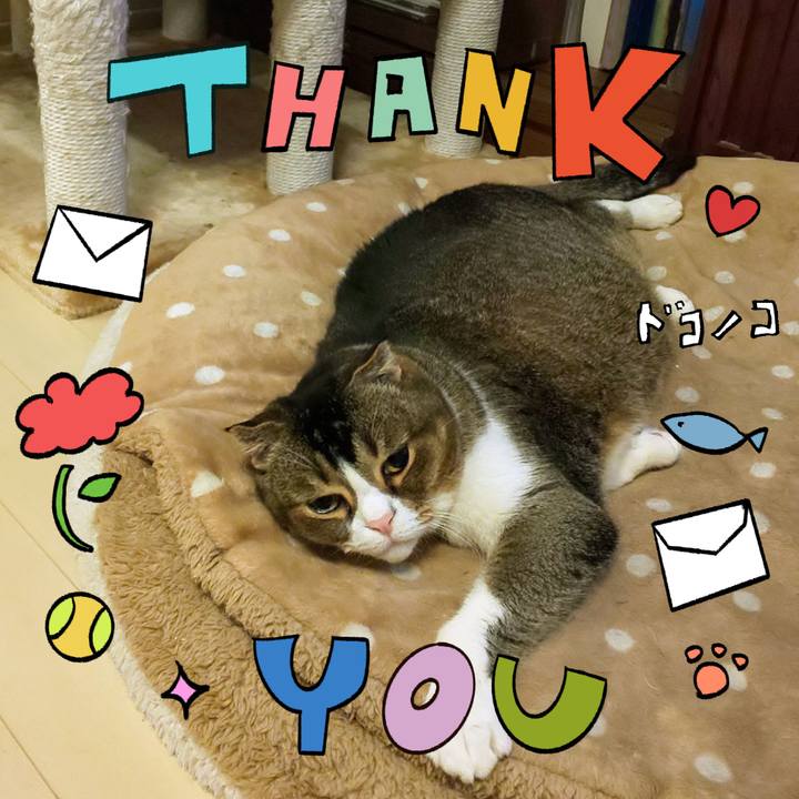 Bc8f324b d822 4311 b411 8ece00884df6 1715513083805