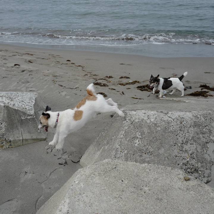 Bc8f38d2 bce2 4758 b027 b34fd7bd8f72 1562993395672