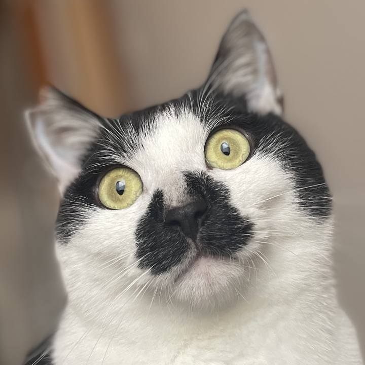 Bc8f5328 0a03 4b7b 88d7 5788d3ea47f2 1767533614190