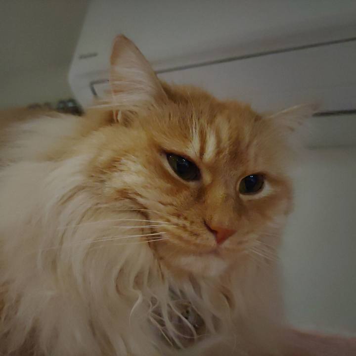 Bc8fa872 583c 4485 8315 7a1a5018a3ab 1712668633316