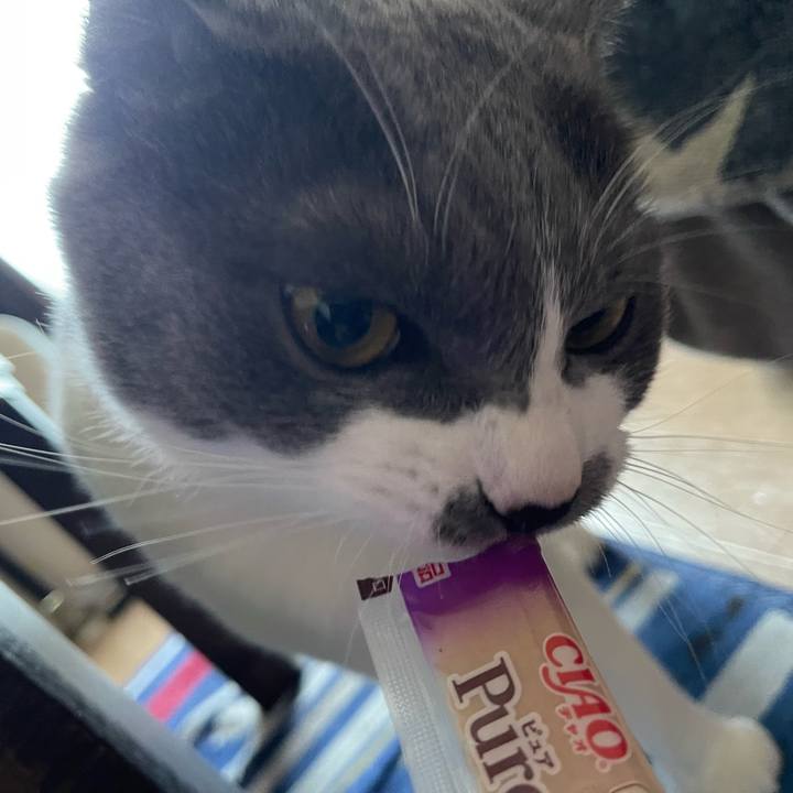 Bc8fb2cc 168c 44d4 a37d ec8896842fce 1660201599792