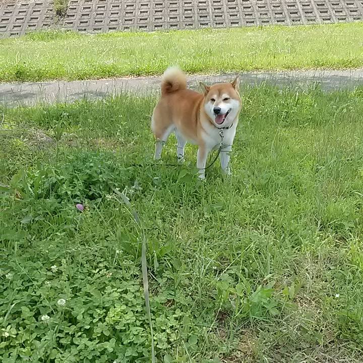 Bc8ff4ad e41e 4dc2 8358 f0e6365082ca 1624510963807