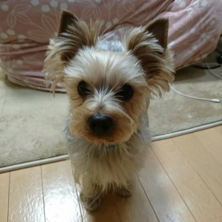 Bc9012c9 adc8 4cc8 8a5d aeceb01ec951 1519886841872