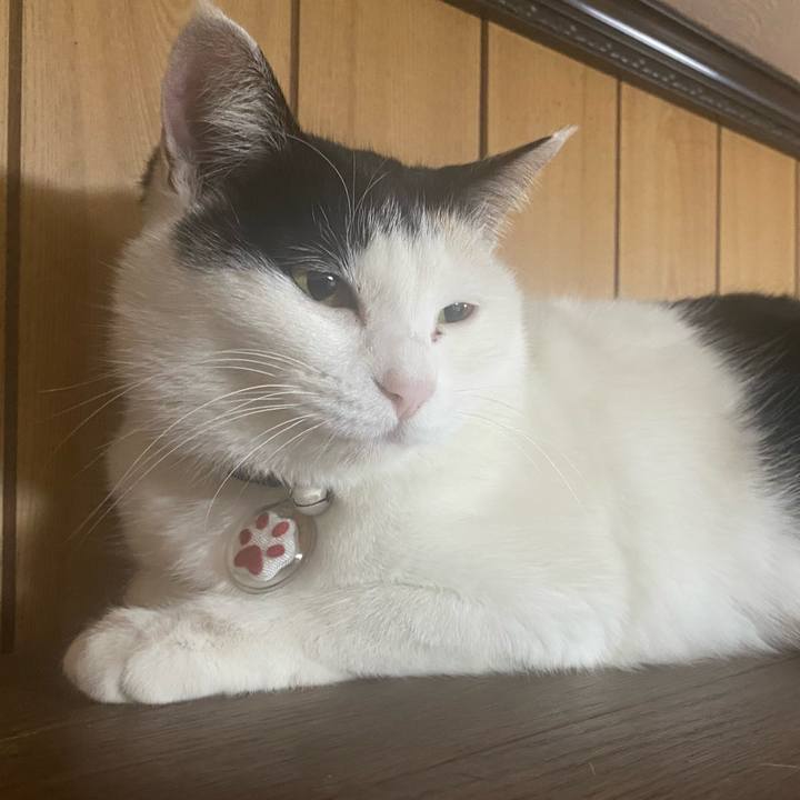 Bc903a46 d7d9 4f82 8c54 2a8333ac24f5 1644009973842