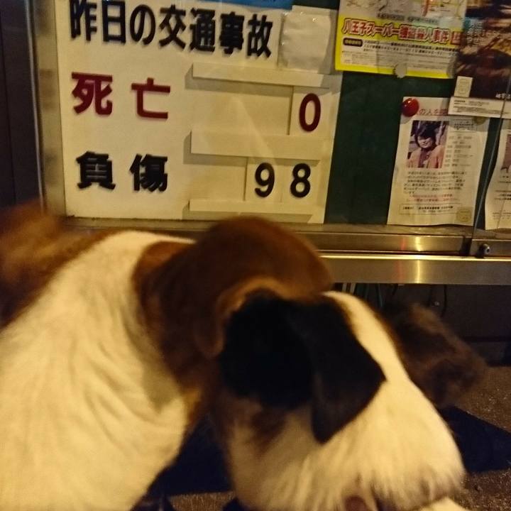 Bc9040b4 acf9 4251 a987 d64e835bc58f 1533817633016