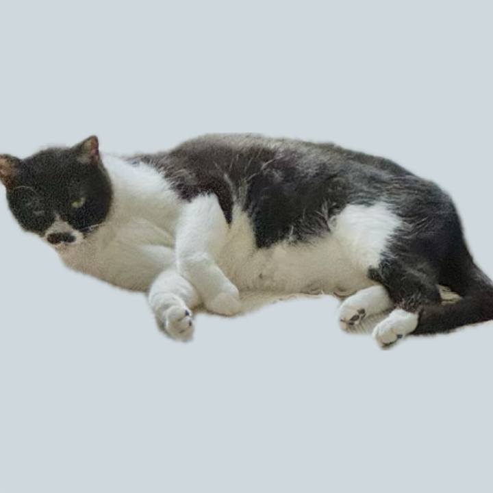 Bc90436f 0be6 4c7b bcd4 c1d2b398fdc1 1759535294806