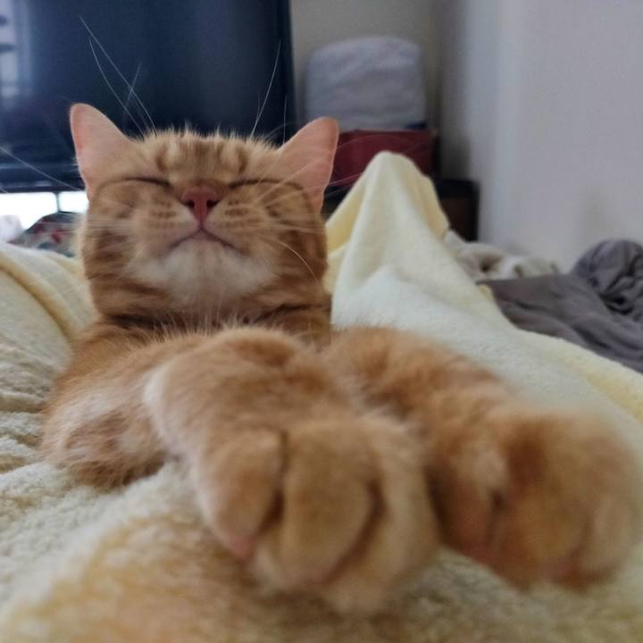 Bc90cbd1 f1f3 4eef 95a4 77167eb8780b 1598916515581