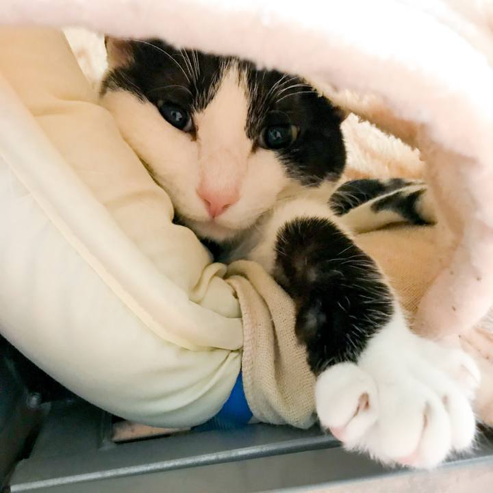 Bc90e9fc 2b0e 4b49 98a7 9ad828f27293 1520434621961