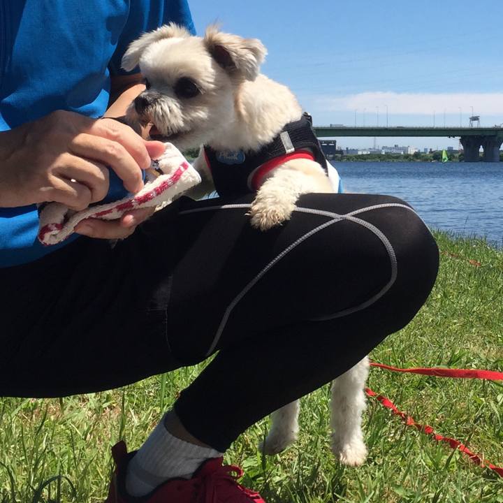 Bc910b8c 1788 431e bd5a b41de7a42d12 1526900039434