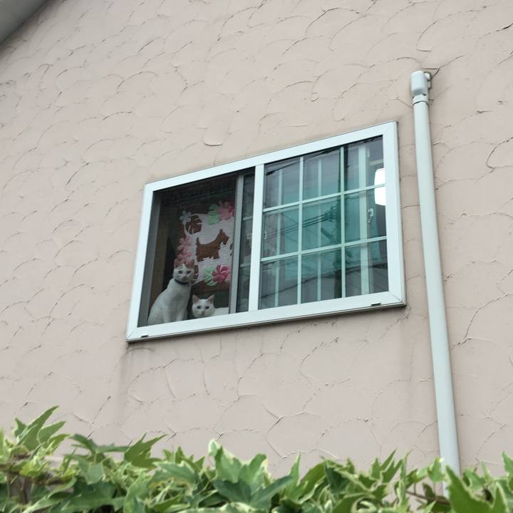 Bc912f1f 45b3 4f21 9b42 e192f54c9746 1529326428782