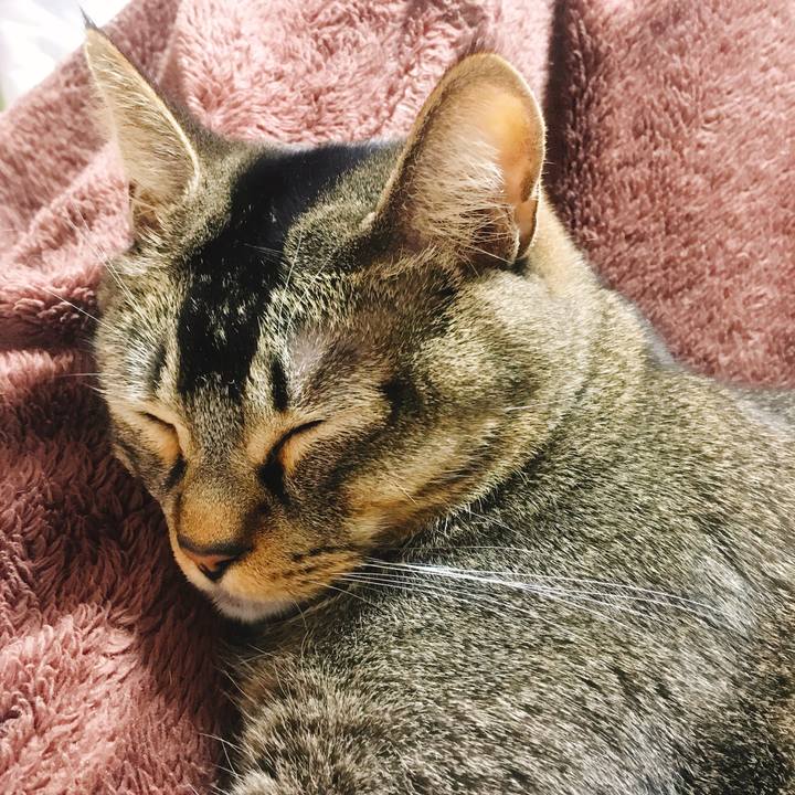 Bc916407 6362 40aa a7ea 1837b0dc6a0e 1547640647665