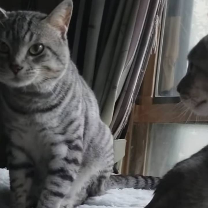 Bc91939d e572 40eb 8a86 207f5ee8c923 1714315502095