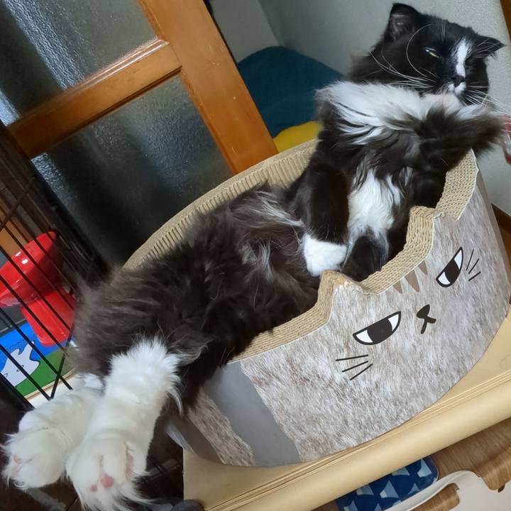 Bc922ac0 9404 4a07 8df4 b1a1df11c606 1682476547963