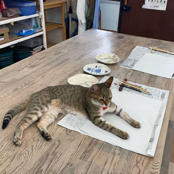 Bc9230fc 1a78 43af b70e 04b0e9b003fb 1721860264058