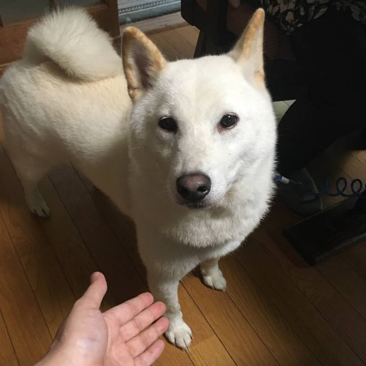 Bc9236ab 478d 455b ac39 4ce6a5e56b79 1536584785271