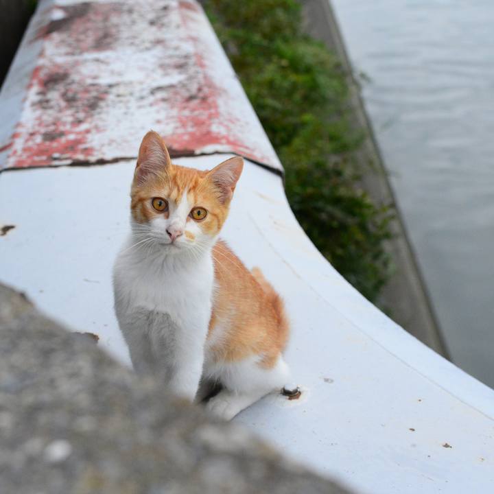 Bc924508 9ecb 4a5c bfd9 2bc623160a46 1536232123886