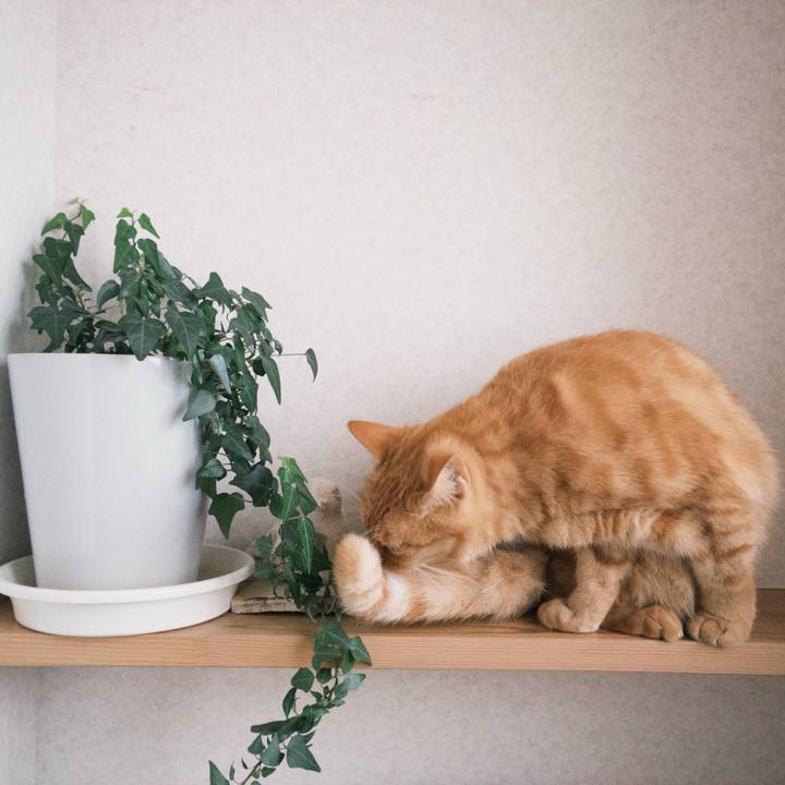 Bc926c36 1166 41cd 940d 06423b98935c 1764927279884