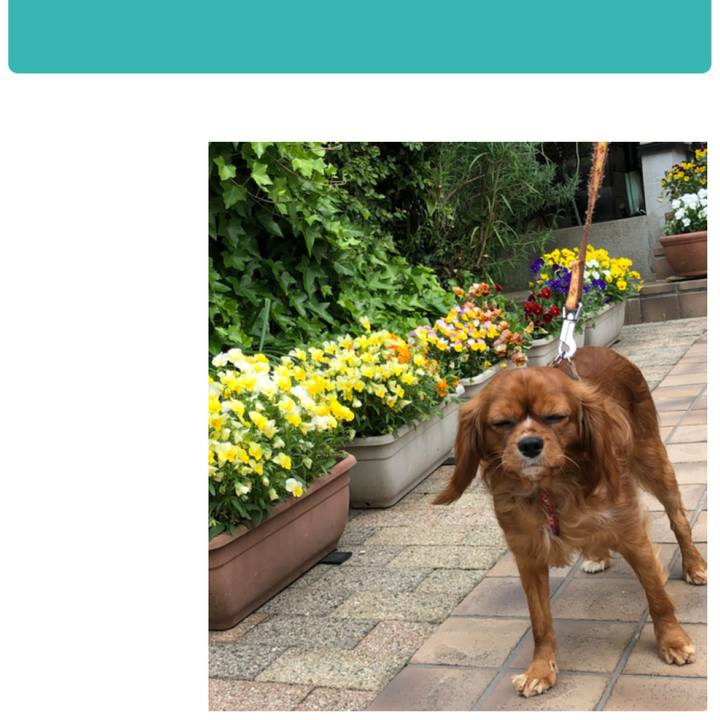 Bc92bb65 3020 418e 9b82 9eb6c7039b4d 1540646467803