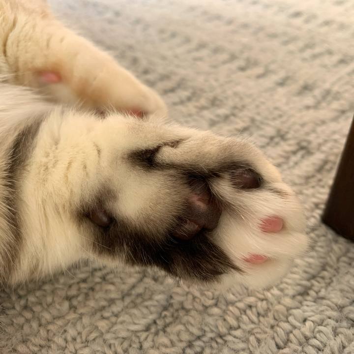 Bc92cbf1 7a3e 4d54 a987 b2c622c34cbb 1708212974519