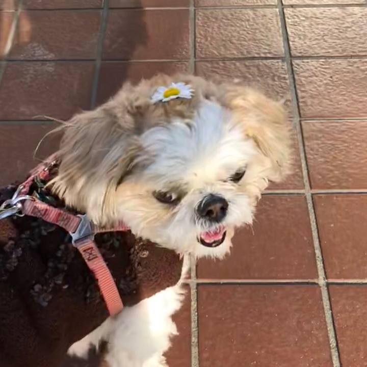 Bc92cc54 a2e6 48dc ab9e 5203f9c8a983 1520674608644