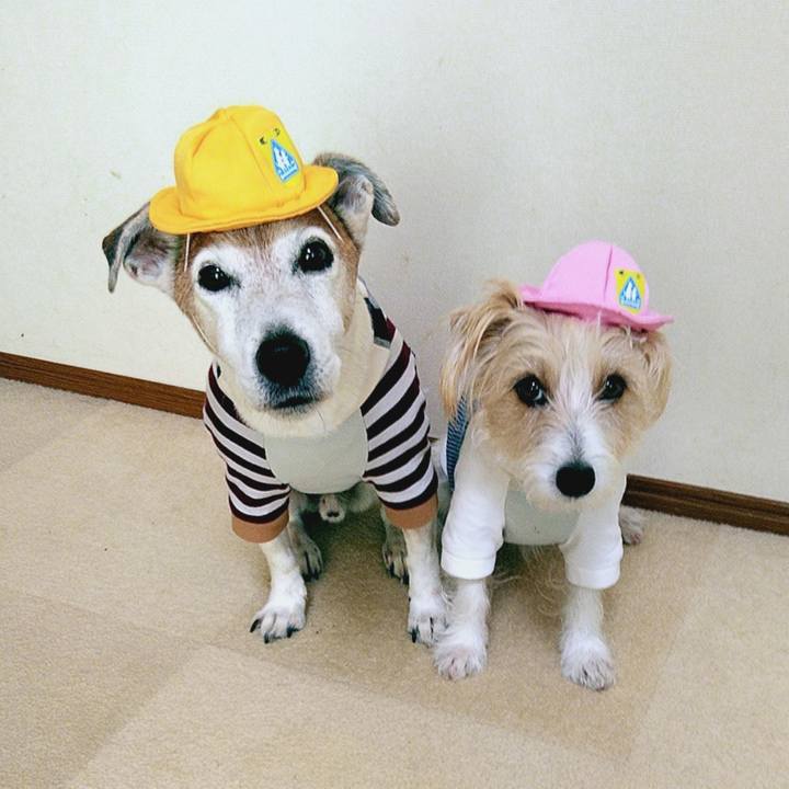 Bc9323bd 8749 4833 94e0 68de72410e3d 1681222053050