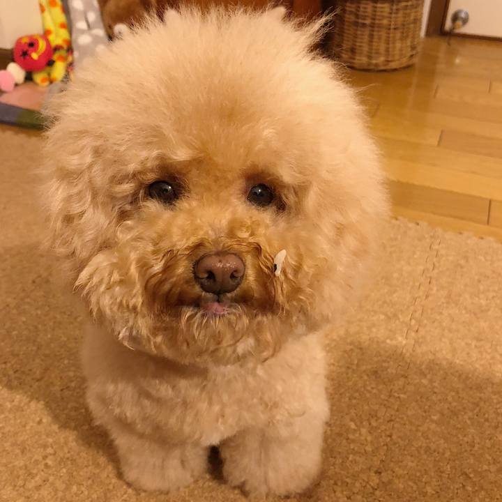 Bc93497c d14b 4df4 8bf3 a454f5ebd0f8 1524040787843