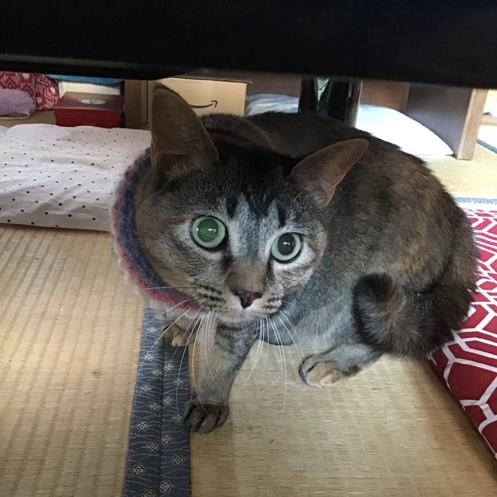 Bc936d0b 2ada 4f0c ba5d a15793f66d95 1627250571771