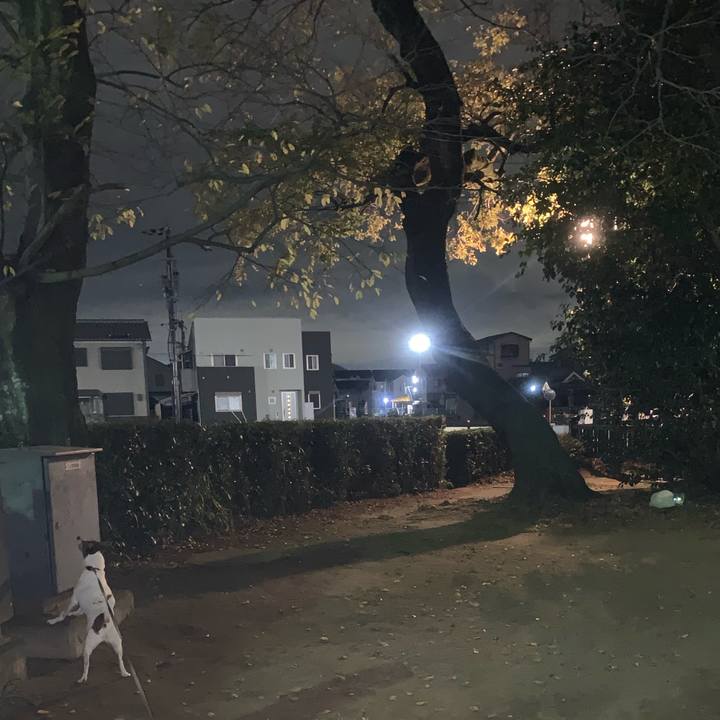 Bc937382 27ec 4cda acee 973157d7758e 1542977755148