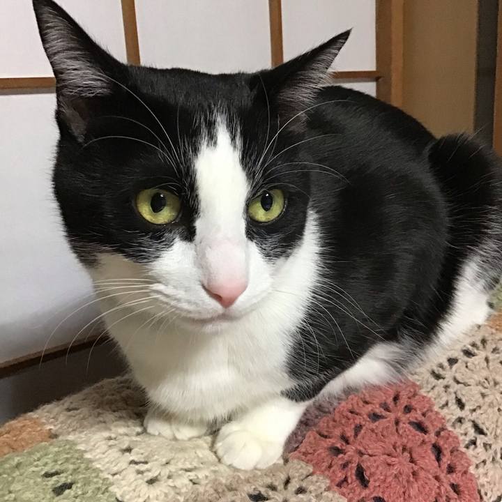 Bc93bca2 dfe7 4a3a 8a91 4b94a16b1d52 1736766863912