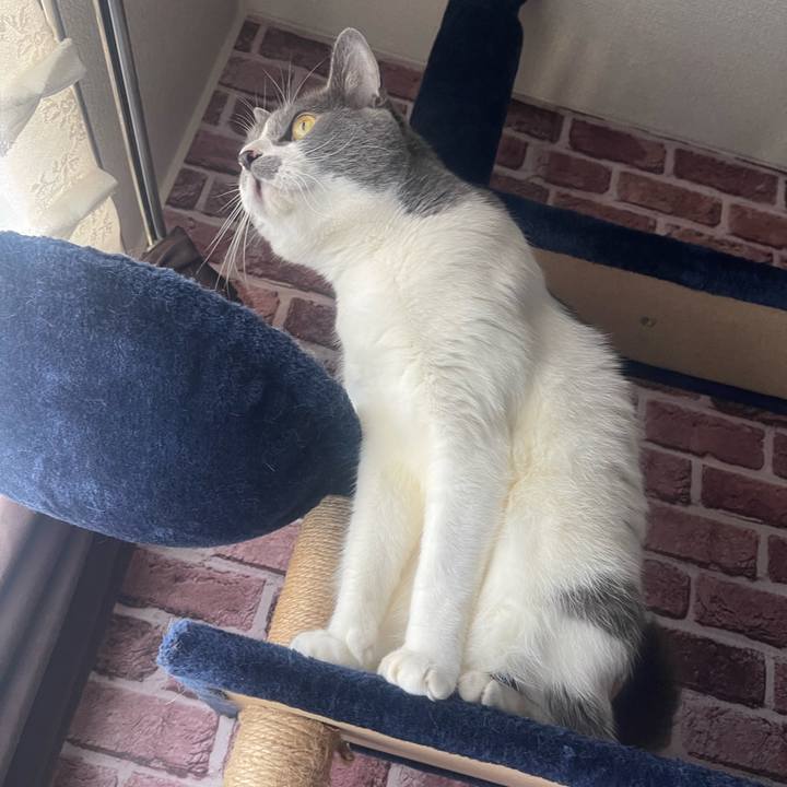 Bc93d75e 117d 4b78 a384 d5deb56b7e81 1715985546974