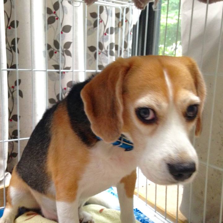 Bc93db4a 1983 43b1 a2c9 1e36841d71ad 1754530502982