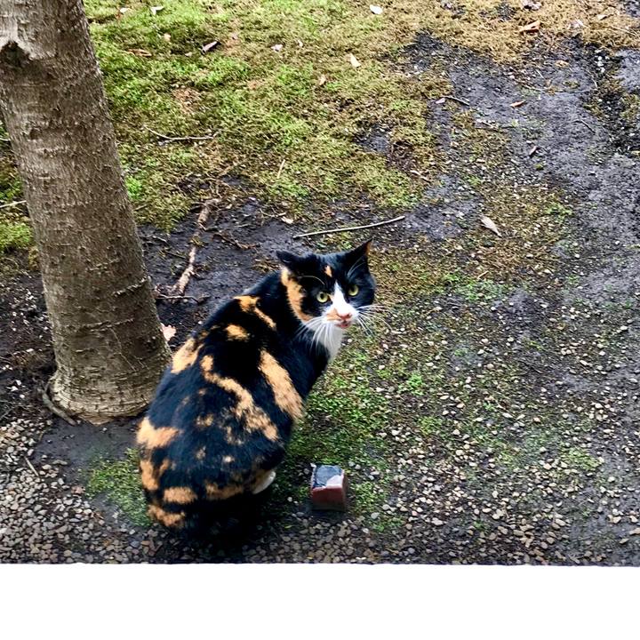 Bc942ee2 0d9d 431a b0f3 f913e3e1fcdb 1520661399695