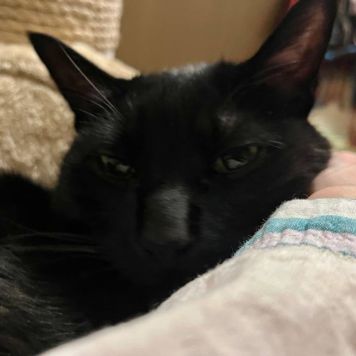 Bc94ce48 2abb 4cdd ac78 9db24c896eef 1743243500058