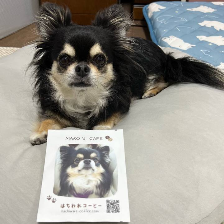 Bc94dda6 dedb 4666 baa8 afe27f13c36f 1686176457802