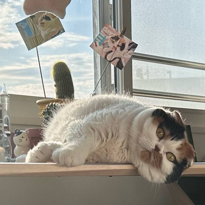 Bc94eb55 2970 4861 a07f 19e38b0de991 1690965200135