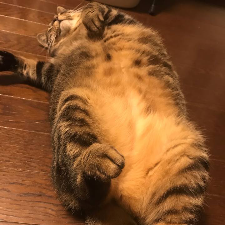 Bc951e5c 4850 400b 9c7f db3c37b3c8c5 1620217023773