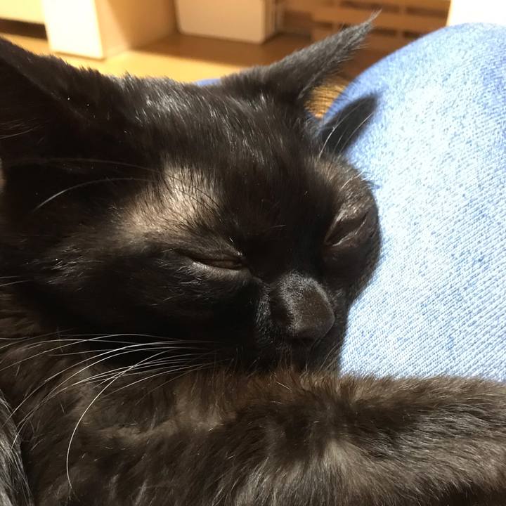 Bc953975 fb1a 4dd7 8e64 7333d1166d46 1547776867377