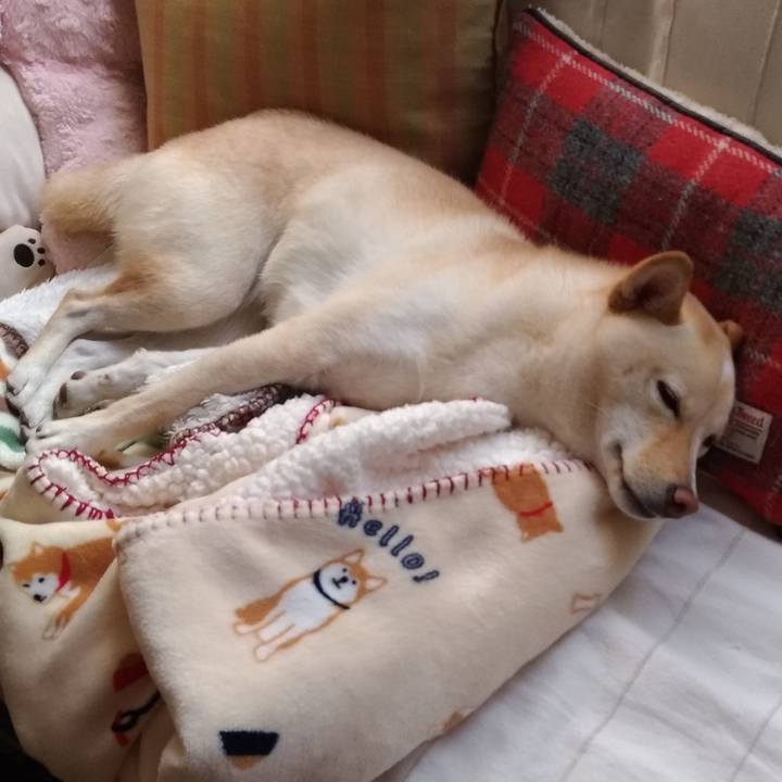 Bc9541e4 8427 48ce b6d0 313e1c556667 1540440296892