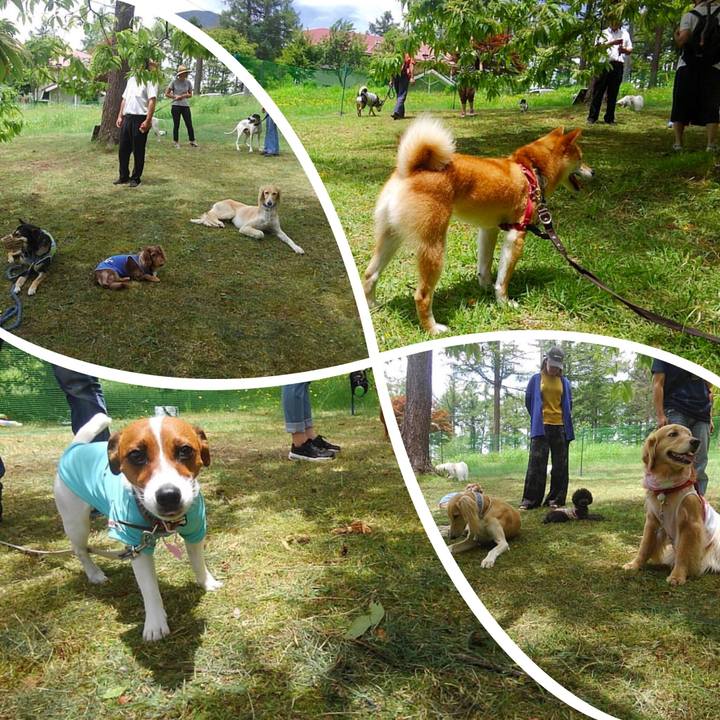 Bc95598d 326d 4864 84c1 e0112124ae8e 1530610097346