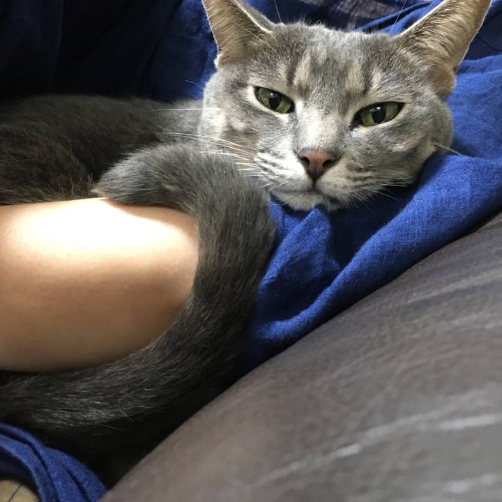 Bc9590cd 79c8 402f 838c 887d4a8b96af 1537061381025